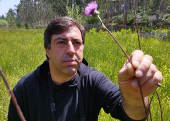 “Não temos de inventar nada na natureza. As coisas estão inventadas e o equilíbrio foi feito em milhões de anos”, Emanuel Rocha