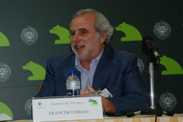 Economia e Ecologia: o caso do Pinhal de Leiria, a debate em Leiria