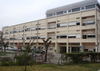  “Promoção da Igualdade de Género: um desafio nas organizações” assinala dia do Hospital de Pombal
