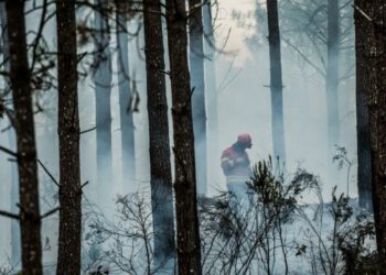 Dominado incêndio em Santa Catarina da Serra