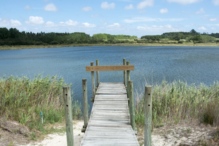 Lagoa da Ervedeira estreia-se este sábado como praia fluvial