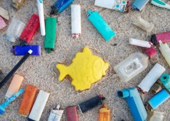 Dia Mundial dos Oceanos assinalado com limpeza de praia