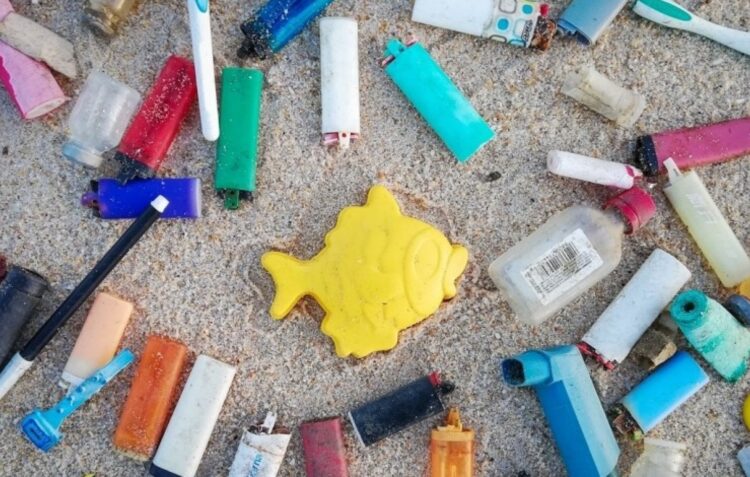 Dia Mundial dos Oceanos assinalado com limpeza de praia