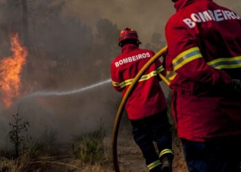 Lidl oferece 2.000 euros aos Bombeiros Voluntários de Leiria