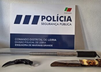 PSP da Marinha Grande detém jovem por roubo a residência