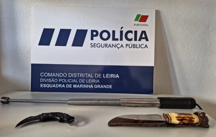 PSP da Marinha Grande detém jovem por roubo a residência