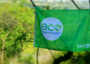 Distrito tem 31 freguesias distinguidas com bandeira verde da sustentabilidade
