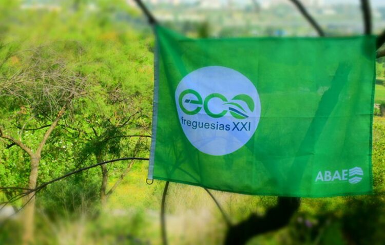 Distrito tem 31 freguesias distinguidas com bandeira verde da sustentabilidade