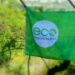 Distrito tem 31 freguesias distinguidas com bandeira verde da sustentabilidade