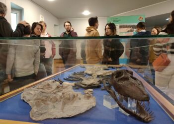 Exposição exibe o mais antigo fóssil de plesiossauro encontrado em São Pedro de Moel