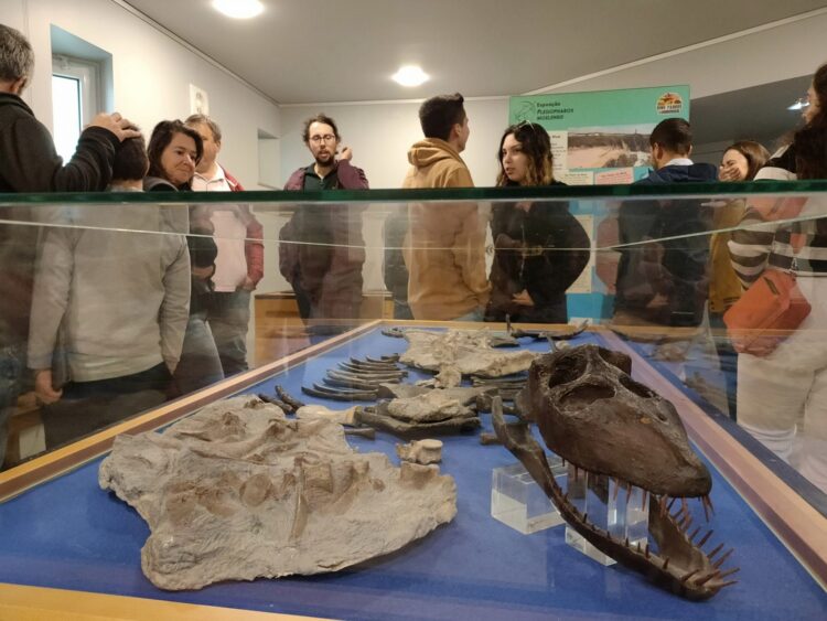 Exposição exibe o mais antigo fóssil de plesiossauro encontrado em São Pedro de Moel