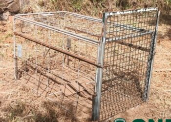 Apreensão de armadilha destinada à captura de animais de forma ilegal em Pedrógão Grande