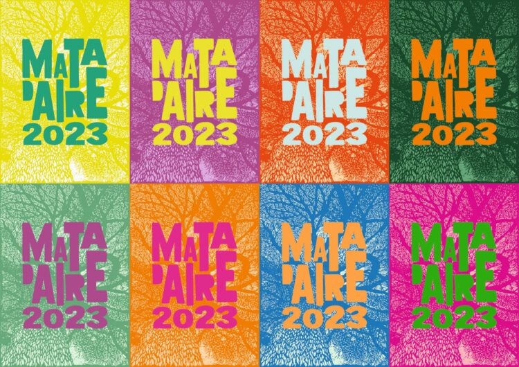 Festival Mata d’Aire regressa este fim-de-semana com concertos e actividades na natureza