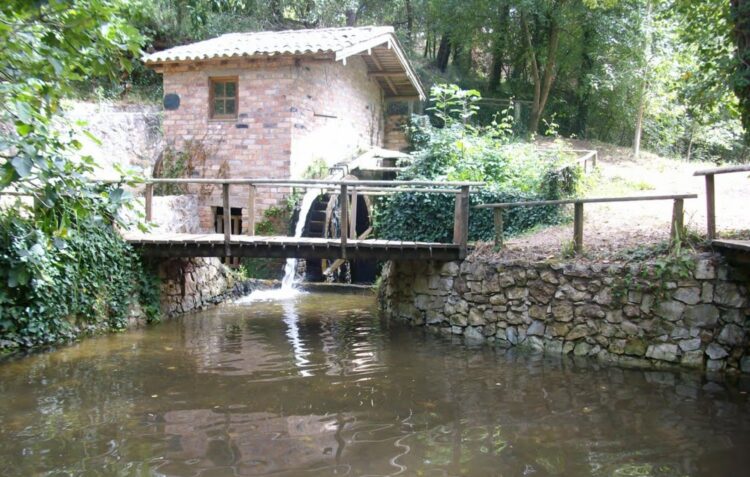 Feiriarte está de regresso ao Parque do Pisão, na Bajouca
