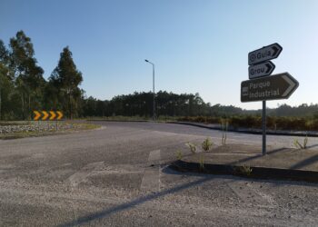 “Não deixem fugir o investimento da Lusiaves para Leiria”