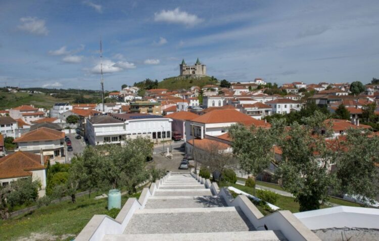Mais de 300 comerciantes recebem 6 ME para modernizar os seus estabelecimentos