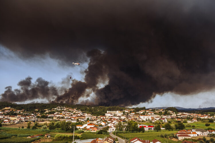 Incêndios na zona da Caranguejeira “não são obra do acaso”