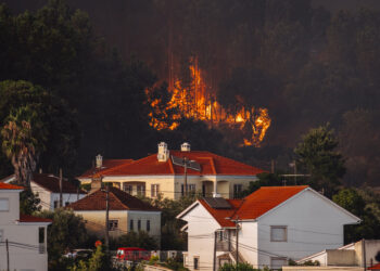 Incêndios: A1 reaberta nos dois sentidos entre Leiria e Fátima e EN113 mantém-se fechada