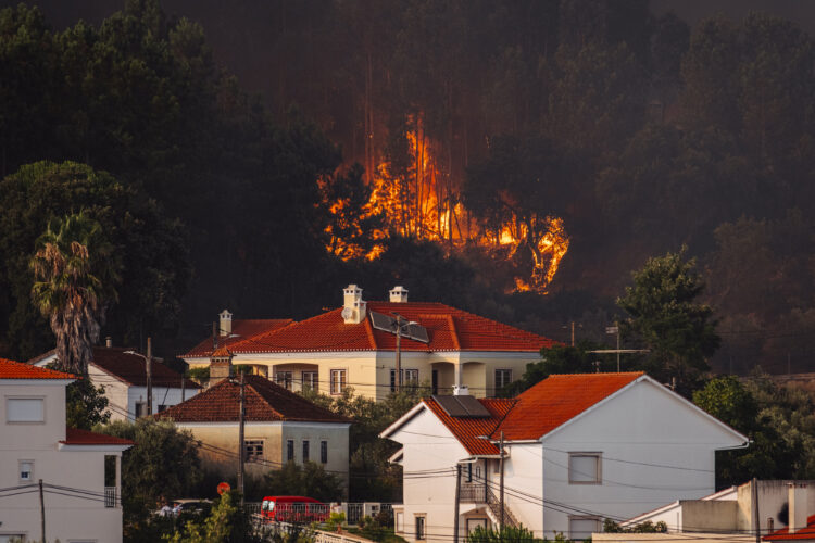Incêndios: A1 reaberta nos dois sentidos entre Leiria e Fátima e EN113 mantém-se fechada