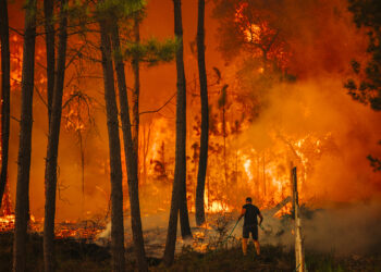 Incêndios na Caranguejeira e no Arrabal em resolução. EN 113 já reabriu ao trânsito