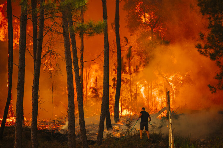 Incêndios na Caranguejeira e no Arrabal em resolução. EN 113 já reabriu ao trânsito