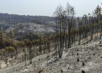 Incêndio entre Leiria e Ourém em fase de resolução