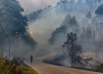 Apanhado incendiário de Ourém e Caranguejeira