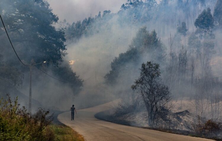 Apanhado incendiário de Ourém e Caranguejeira