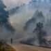Apanhado incendiário de Ourém e Caranguejeira