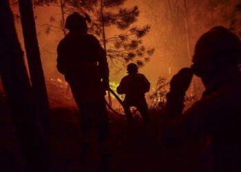 Novo incêndio “violento” em Ourém (Em actualização)