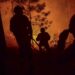Novo incêndio “violento” em Ourém (Em actualização)