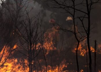 Fogo em Ourém mobiliza 441 operacionais e está descontrolado