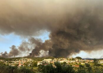 Fogos em Leiria: Presidente da Câmara fala em mão criminosa