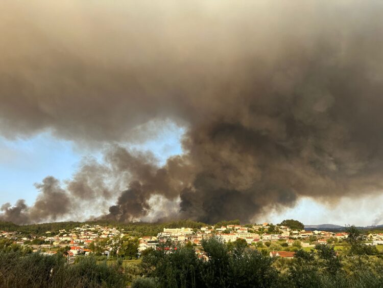 Fogos em Leiria: Presidente da Câmara fala em mão criminosa