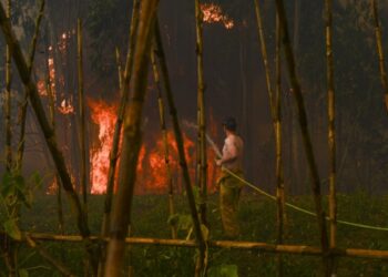 Incêndio em Pombal entrou em resolução