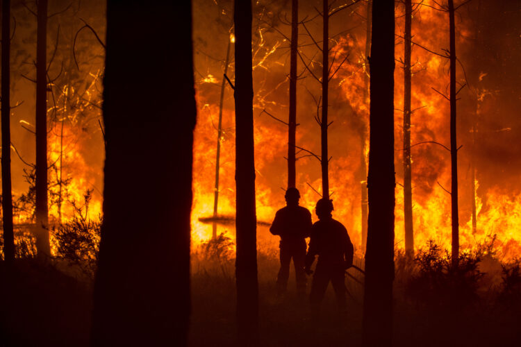 Aldeia de Óbidos, no concelho de Ourém, evacuada por precaução devido a fogo