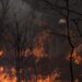 Mais de 200 operacionais combatem fogo em Vale Tacão. Nos Cardosos, incêndio encontra-se já em fase de rescaldo