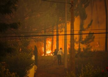 Na última década, há um criminoso a provocar ignições atrás de ignições na zona da Caranguejeira e Arrabal