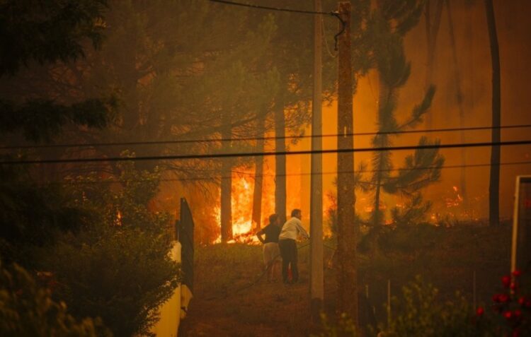 Na última década, há um criminoso a provocar ignições atrás de ignições na zona da Caranguejeira e Arrabal