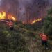 Mulher de 71 anos usou isqueiro para provocar incêndio em Pombal