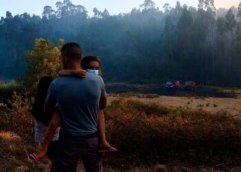Incêndio em Matas e Cercal em conclusão