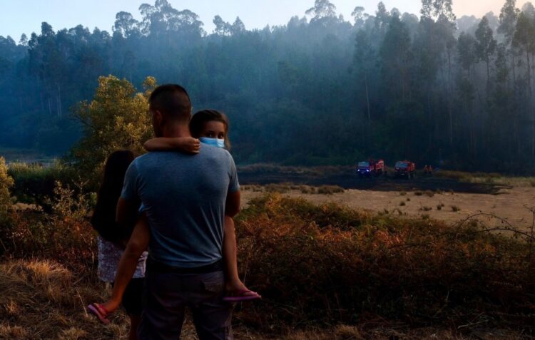 Incêndio em Matas e Cercal em conclusão