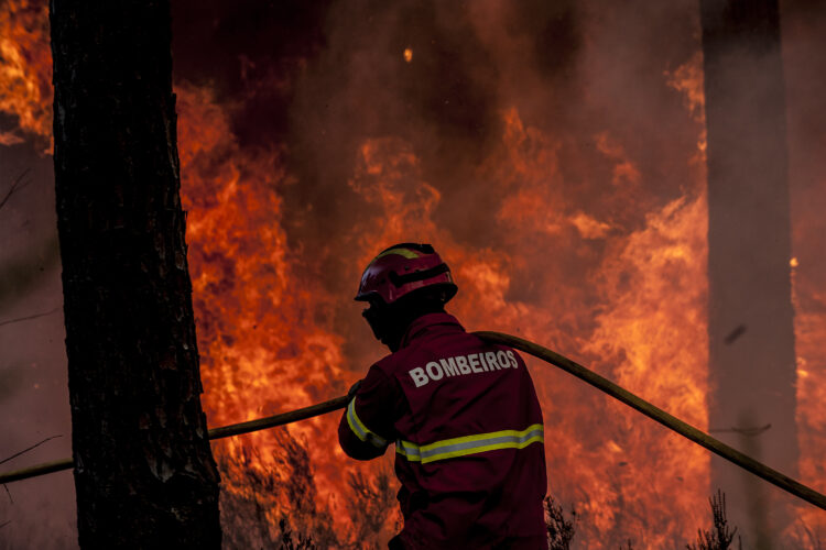 Incêndio em Ourém tem extensão entre sete e dez quilómetros e está voltado para Caxarias