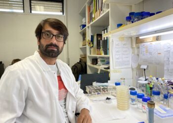 Cientista de Fátima relaciona bactérias intestinais e interacção social