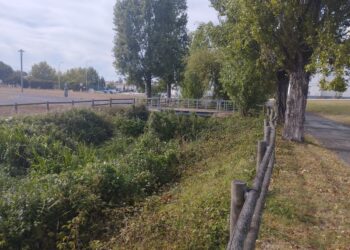 Falta de manutenção nas Bernardas gera queixas