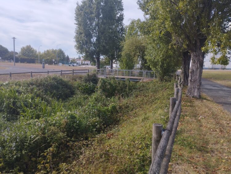 Falta de manutenção nas Bernardas gera queixas