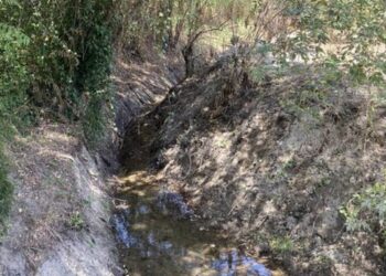 Ribeira do Carregal alvo de limpeza e desobstrução