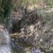 Ribeira do Carregal alvo de limpeza e desobstrução