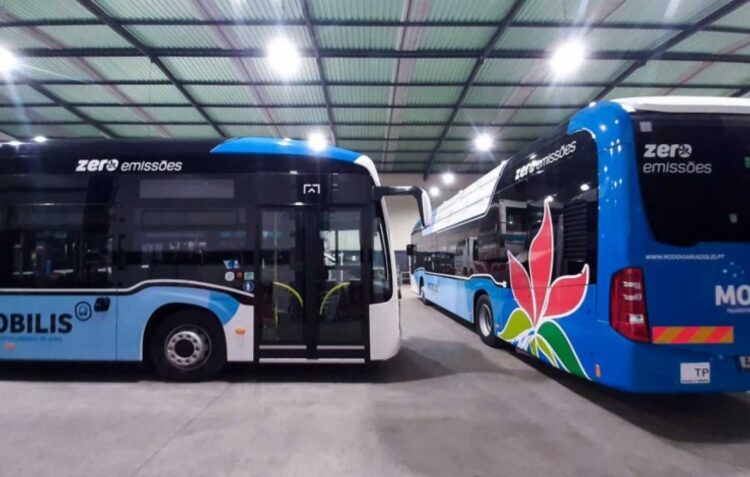 Comunidade Intermunicipal da Região de Leiria avança investimento de 25 milhões em transportes públicos