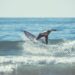 Vitória Surf Challenge está de regresso